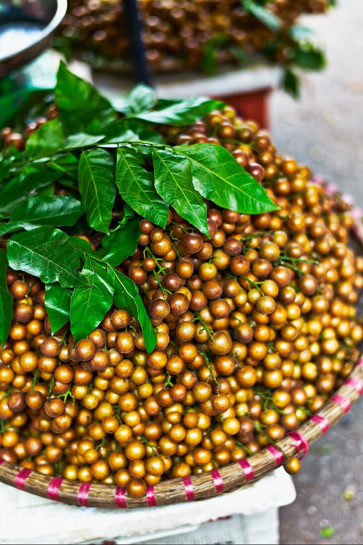 Litschis mit glatter Haut auf Markt in Haiphong, Vietnam