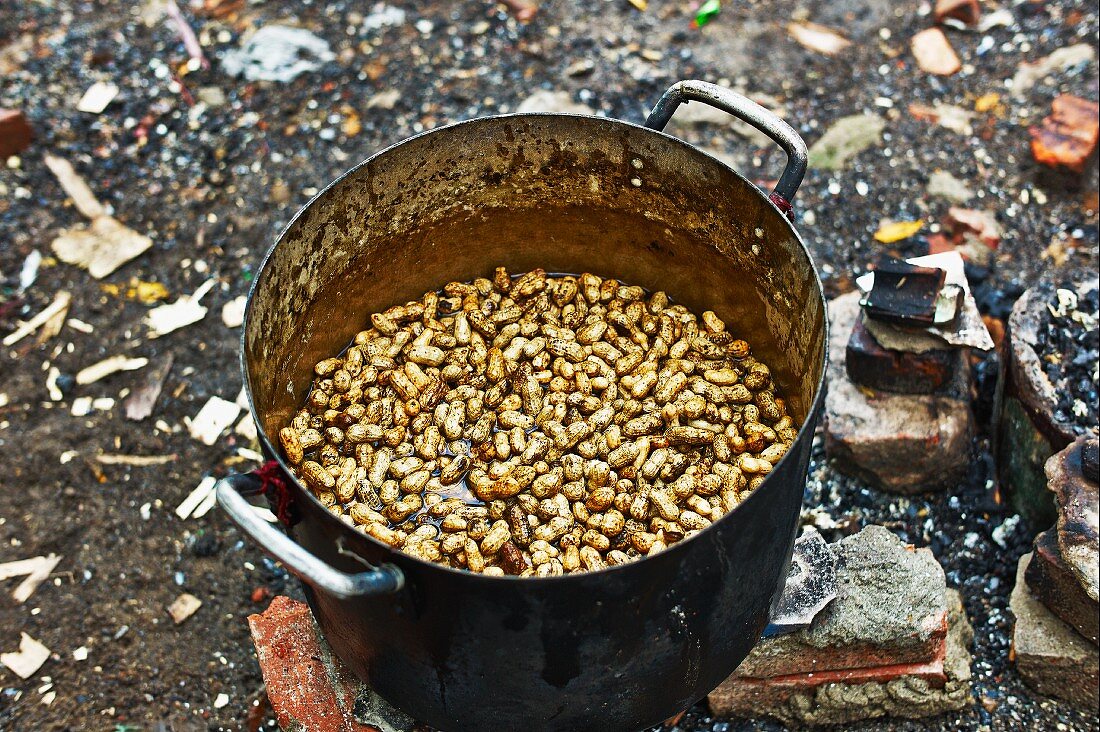 Erdnüsse mit Schale werden in großem Topf gekocht, Vietnam