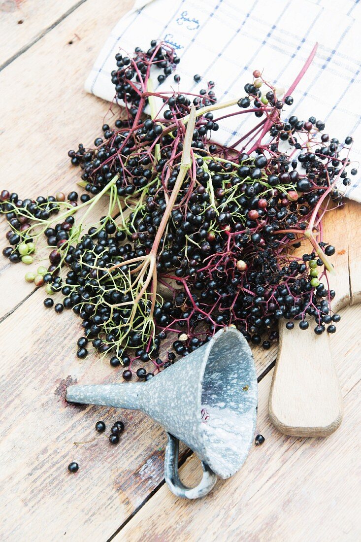 Elderberries on a chopping board with a funnel