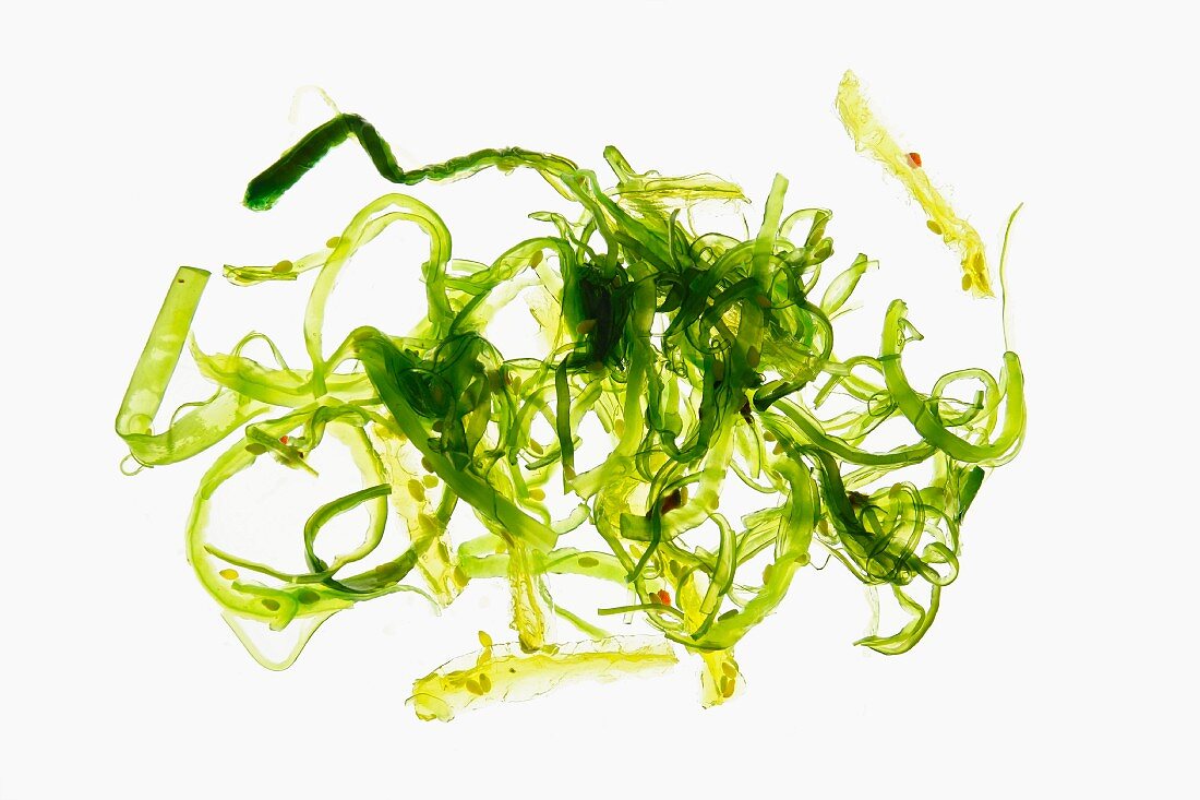 Seaweed salad on a white surface