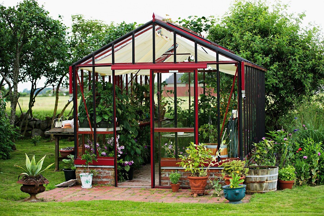 Planters in and around greenhouse in rural setting