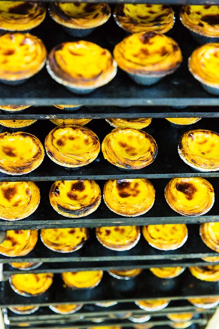 Viele Custard Pies (Eiercremetörtchen, England) im Bäckereiregal