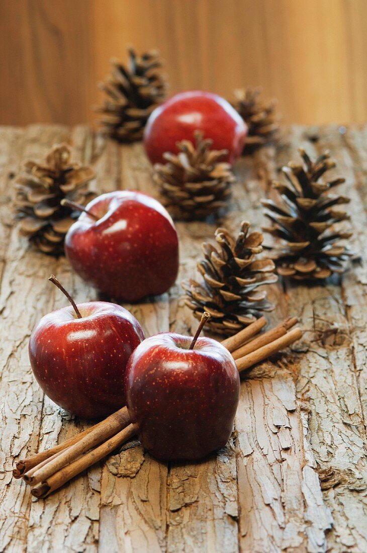 Äpfel, Zimtstangen und Tannenzapfen als Weihnachtsdeko