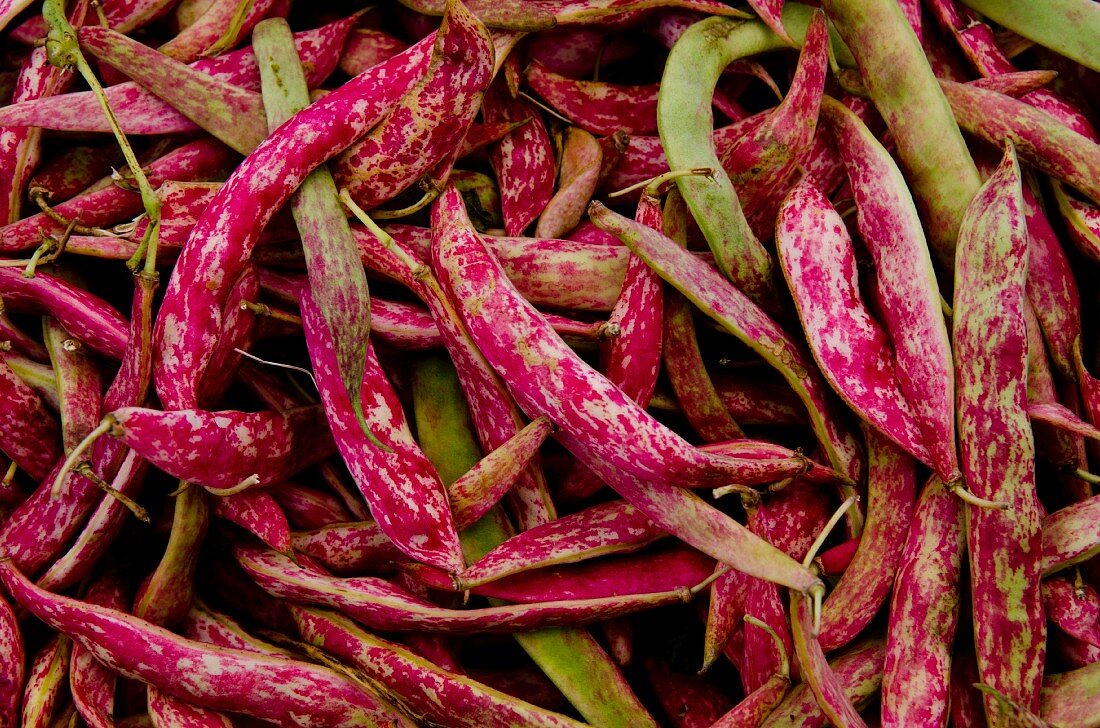 Borlotti beans