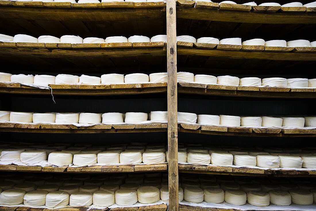 Portuguese cheese drying on wooden shelves