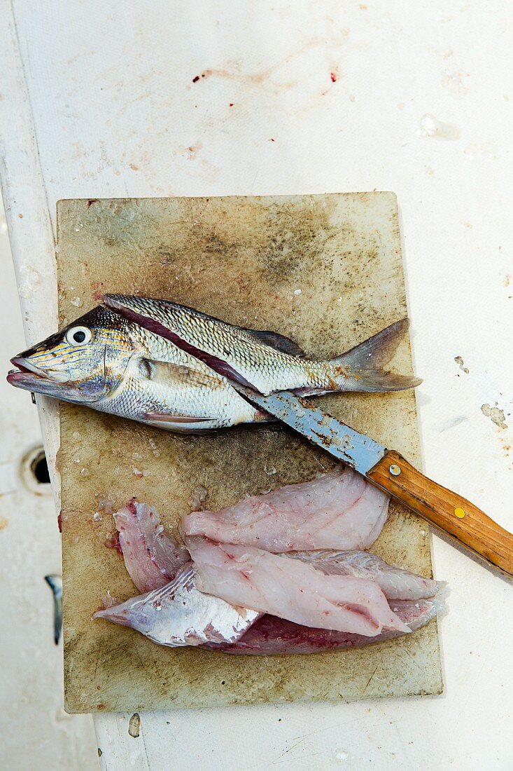 Ceviche being made: fish being filleted