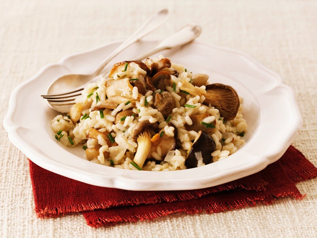 Risotto with forest mushrooms