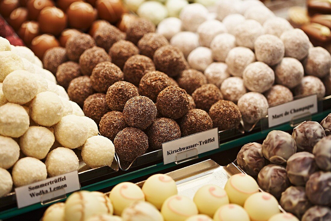 Freshly made truffle pralines