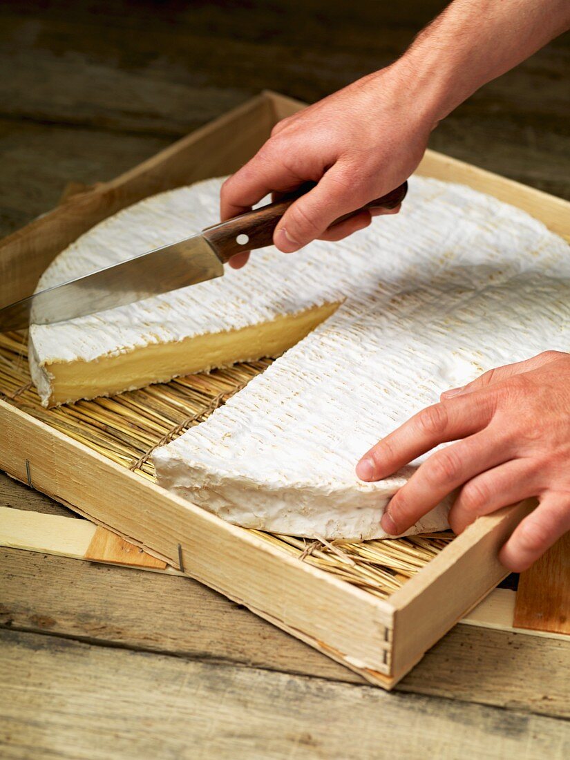 Brie in Stücke schneiden