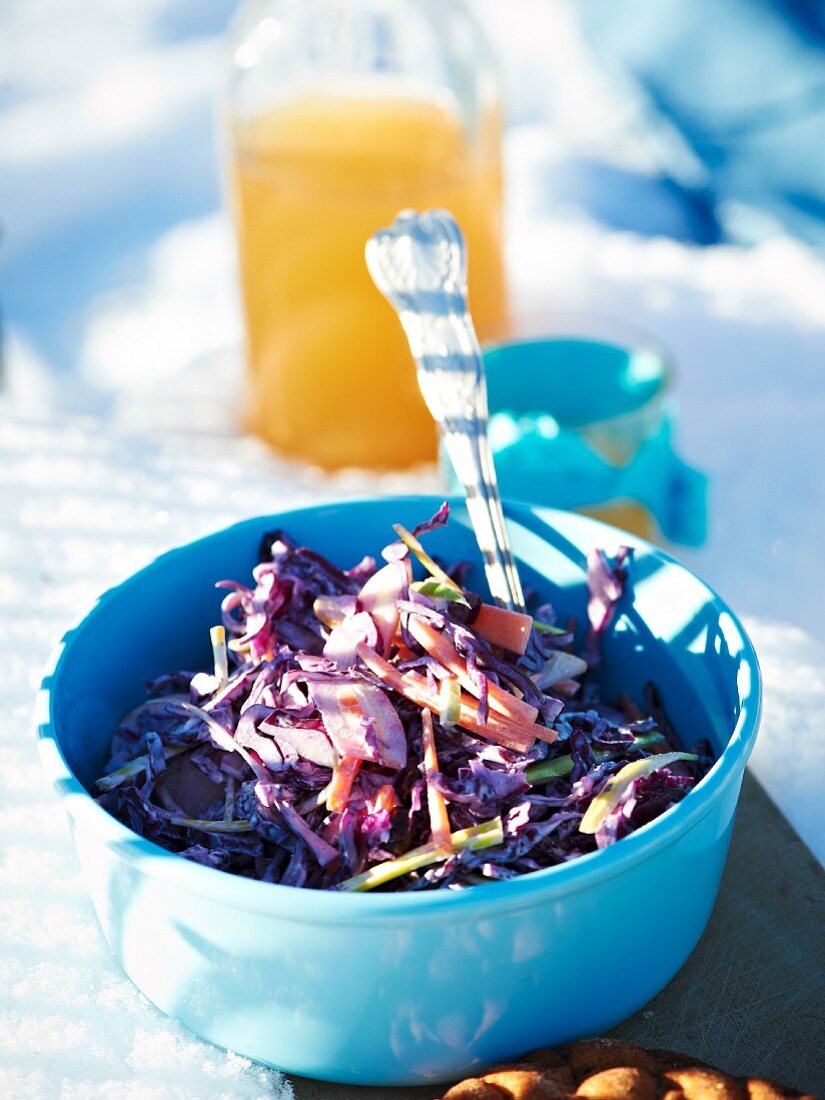 Coleslaw auf Gartentisch