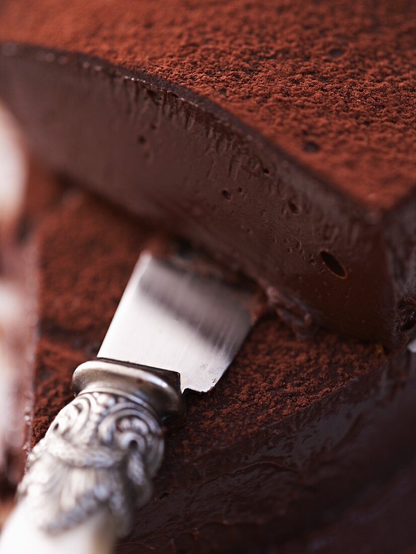 Creamy elderflower chocolate cake