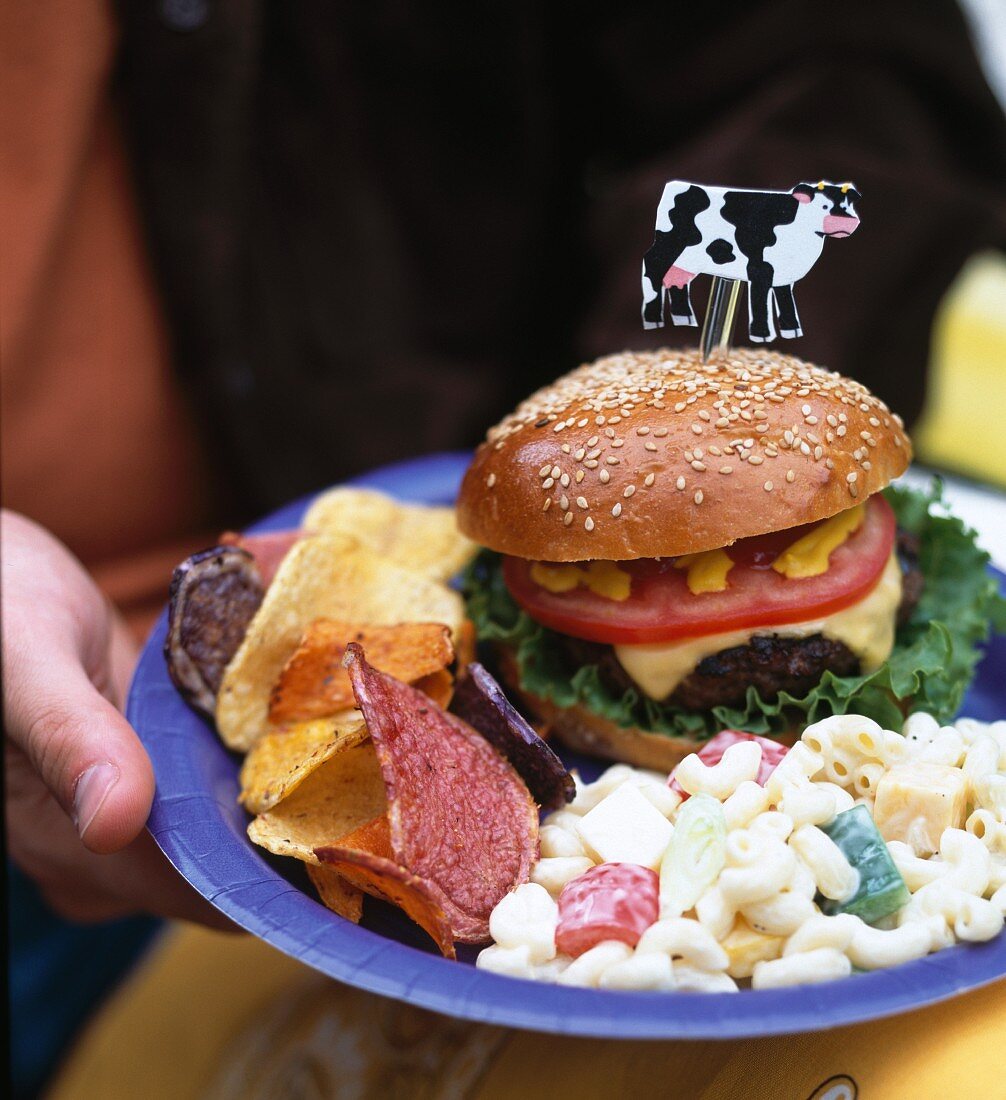 Person hält Teller mit Cheeseburger, Nudelsalat und Chips