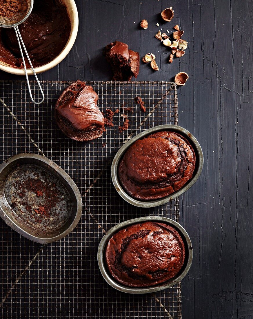 Mini chocolate cakes with hazelnuts (seen from above)