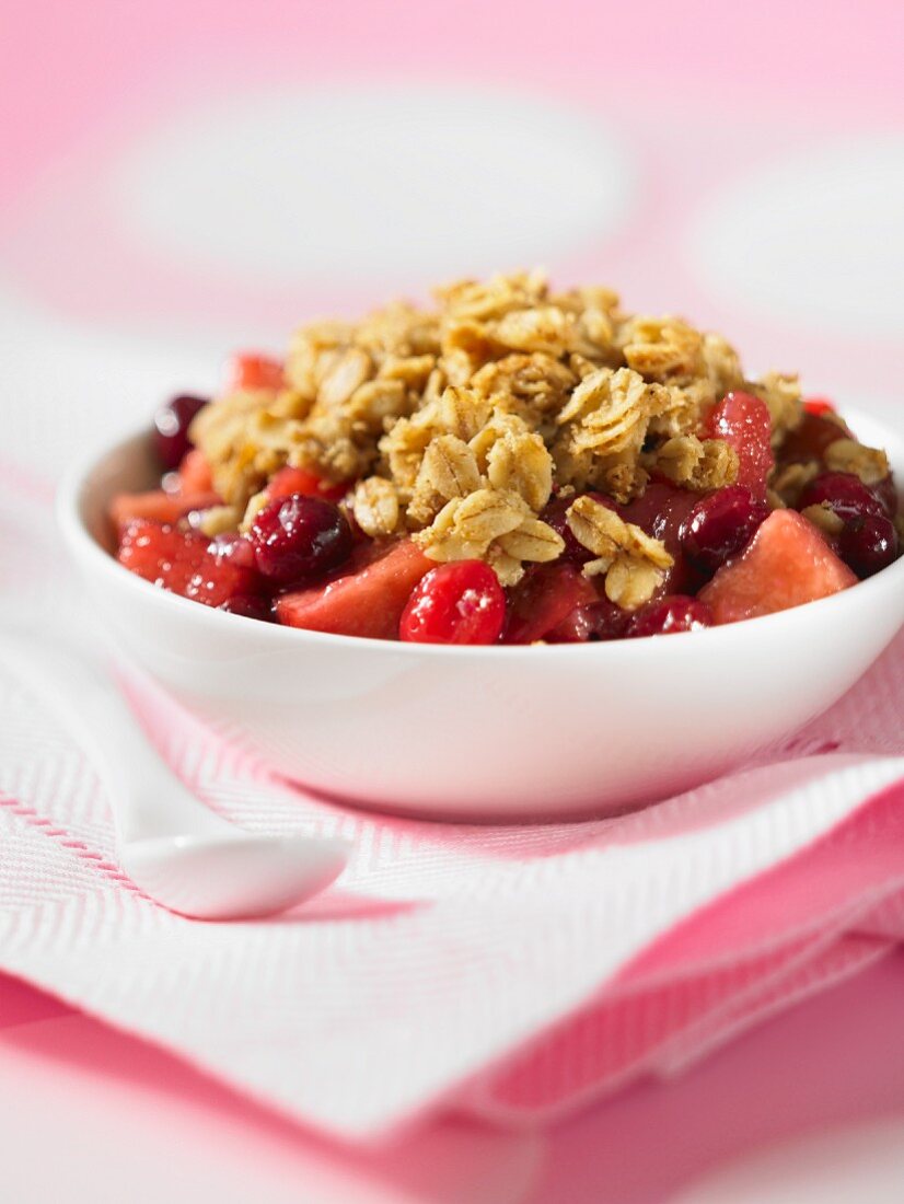 Knuspermüsli mit Apfel und Cranberries