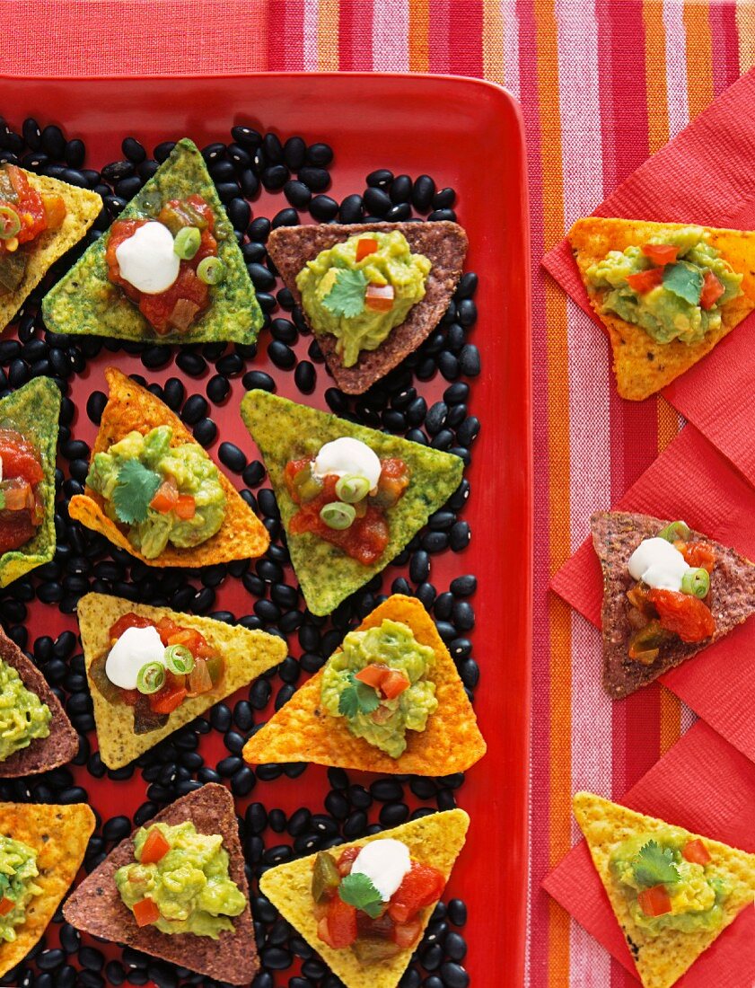 Tortilla chips with spicy salsa and guacomole