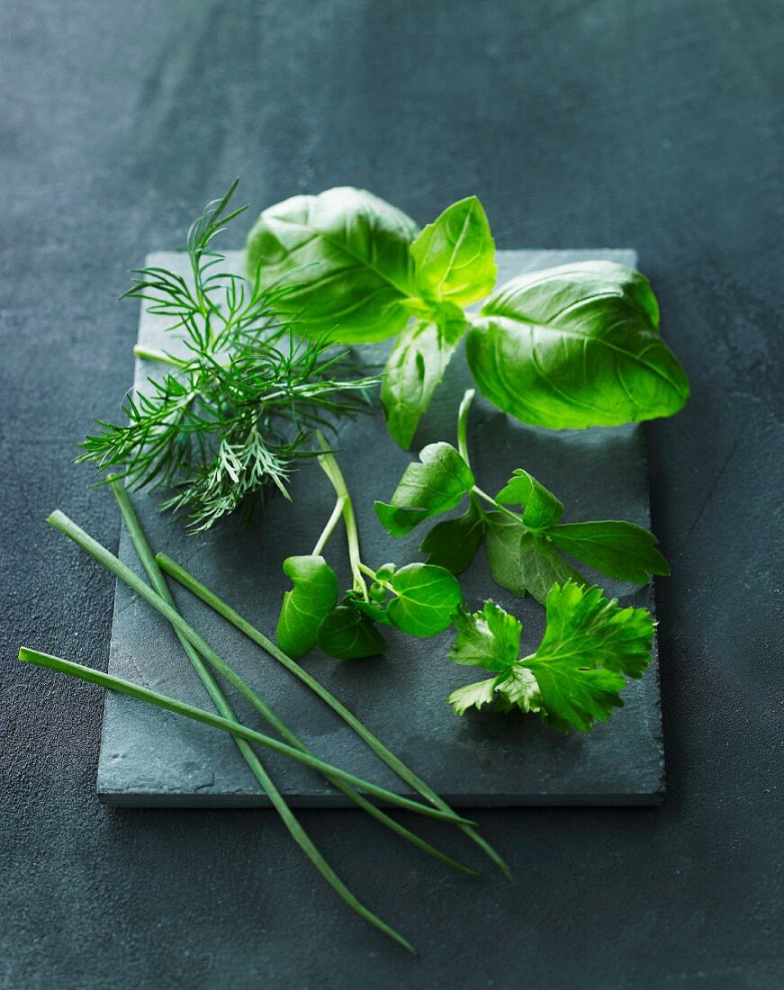 Still life with various herbs