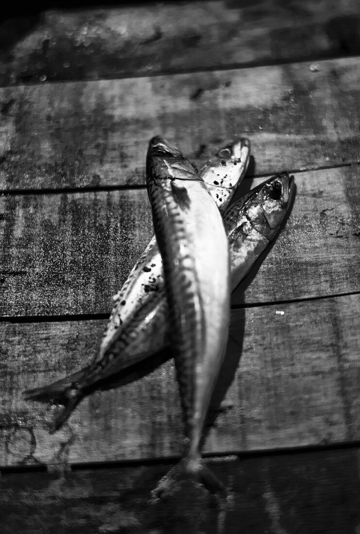Makrelen auf Holzuntergrund