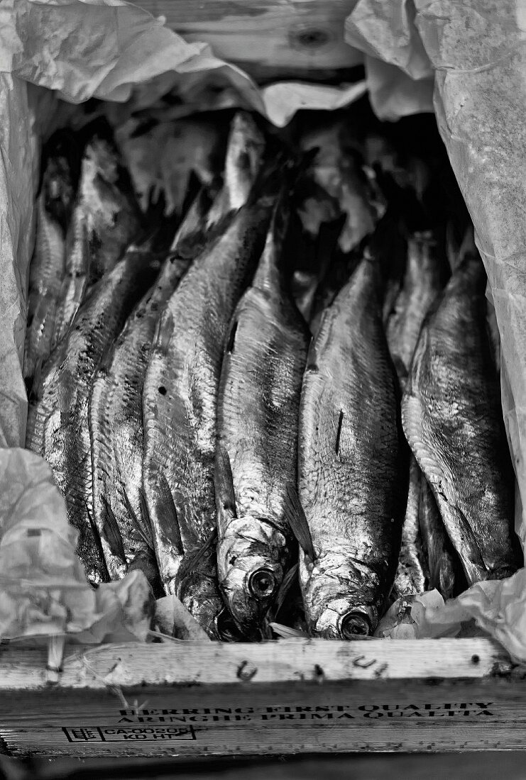 Räucherfisch in der Kiste, Markt (Italien)
