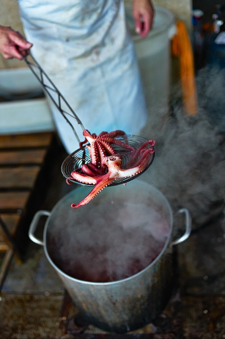 Octopus, gekocht