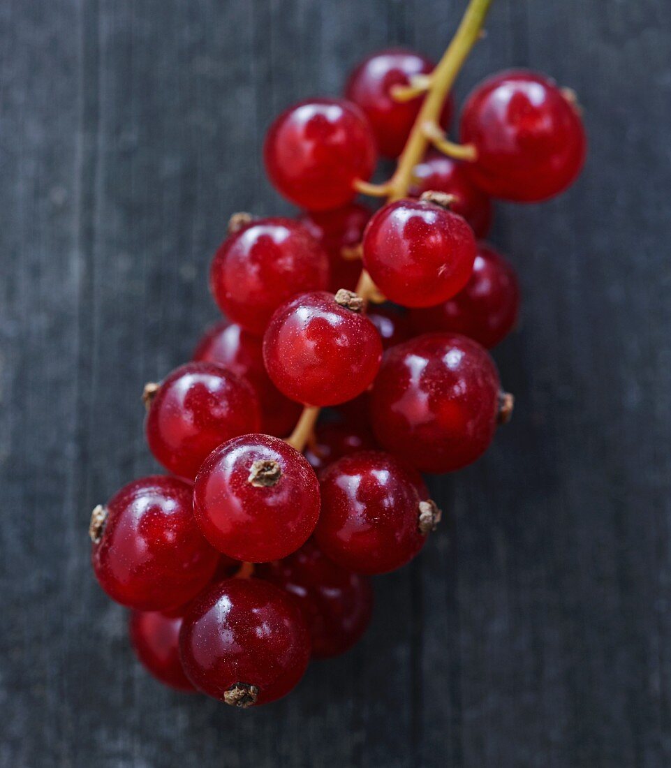 Rote Johannisbeeren