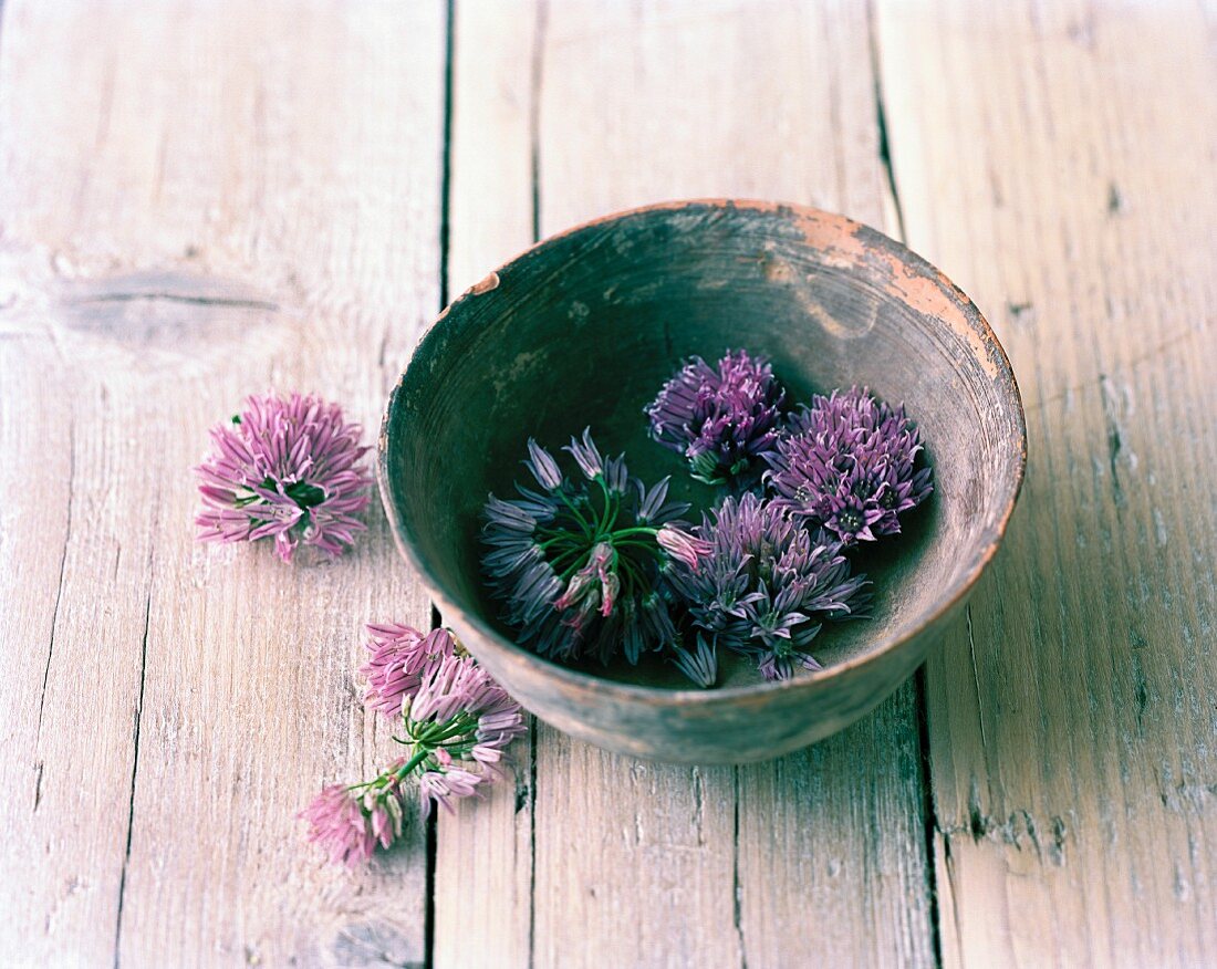 A bowl of chive flowers