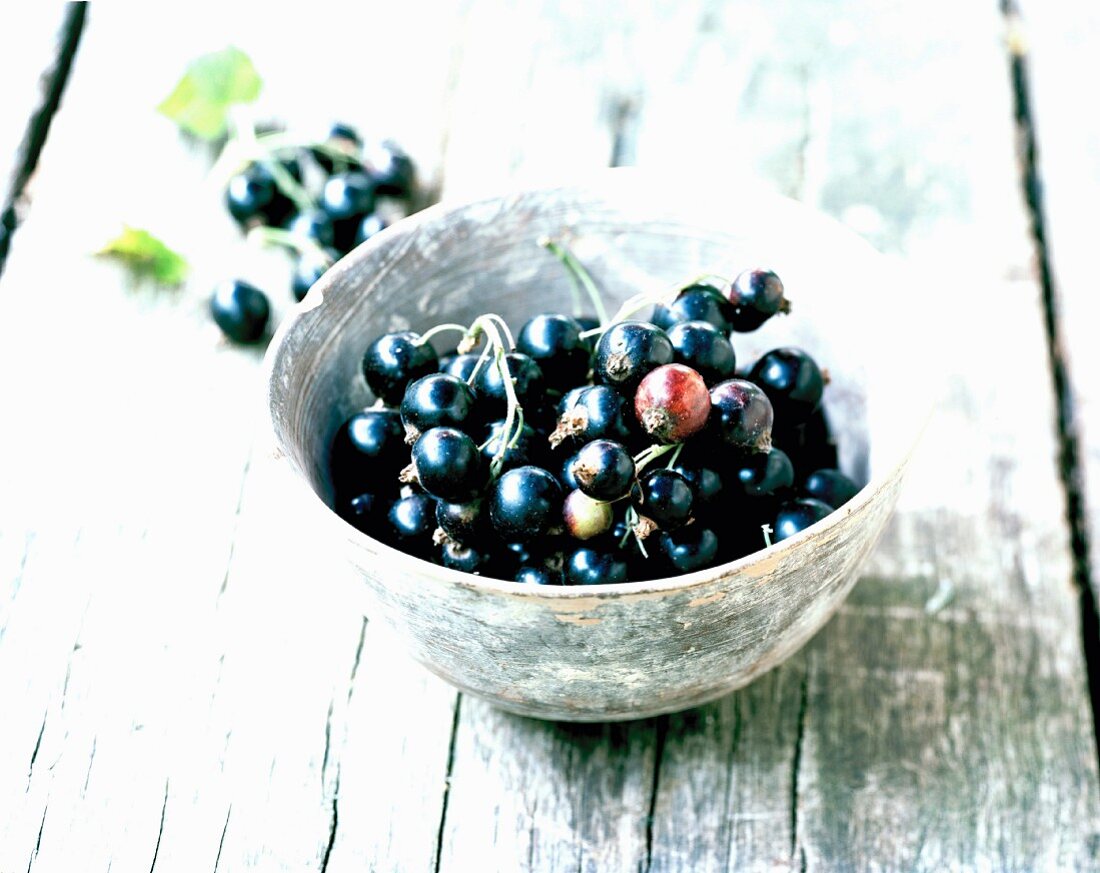 Black currants in a dish