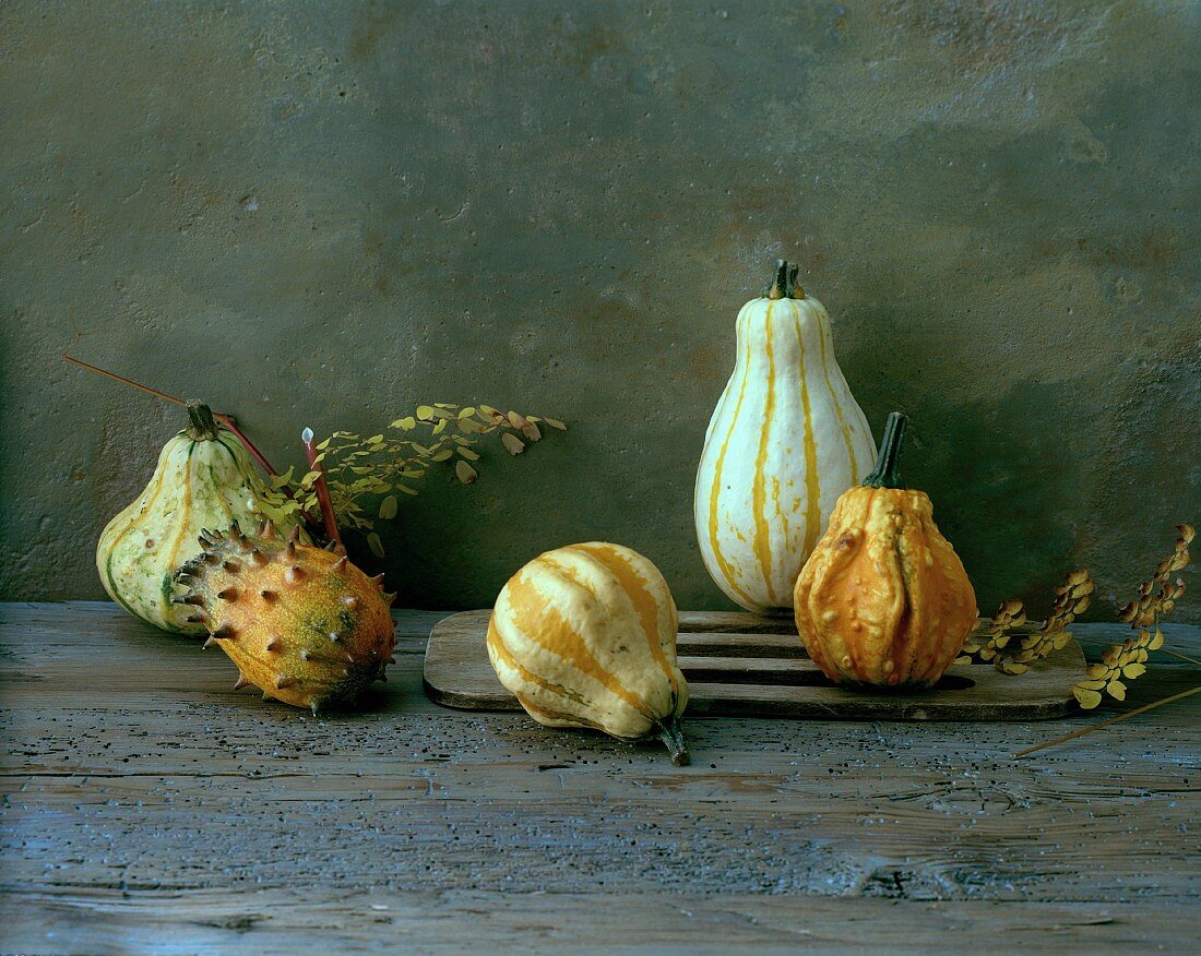 Various ornamental pumpkins on a wooden surface