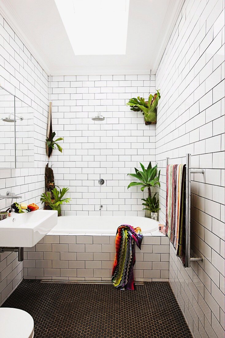 White subway tiles and house plants in narrow bathroom