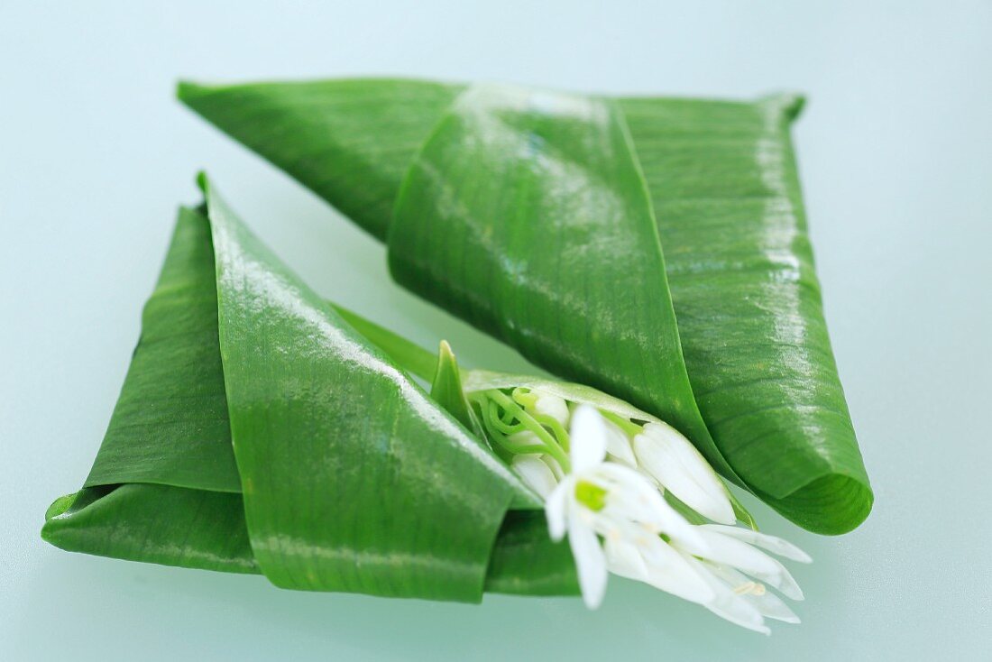 Wild garlic flowers wrapped in their own leaves