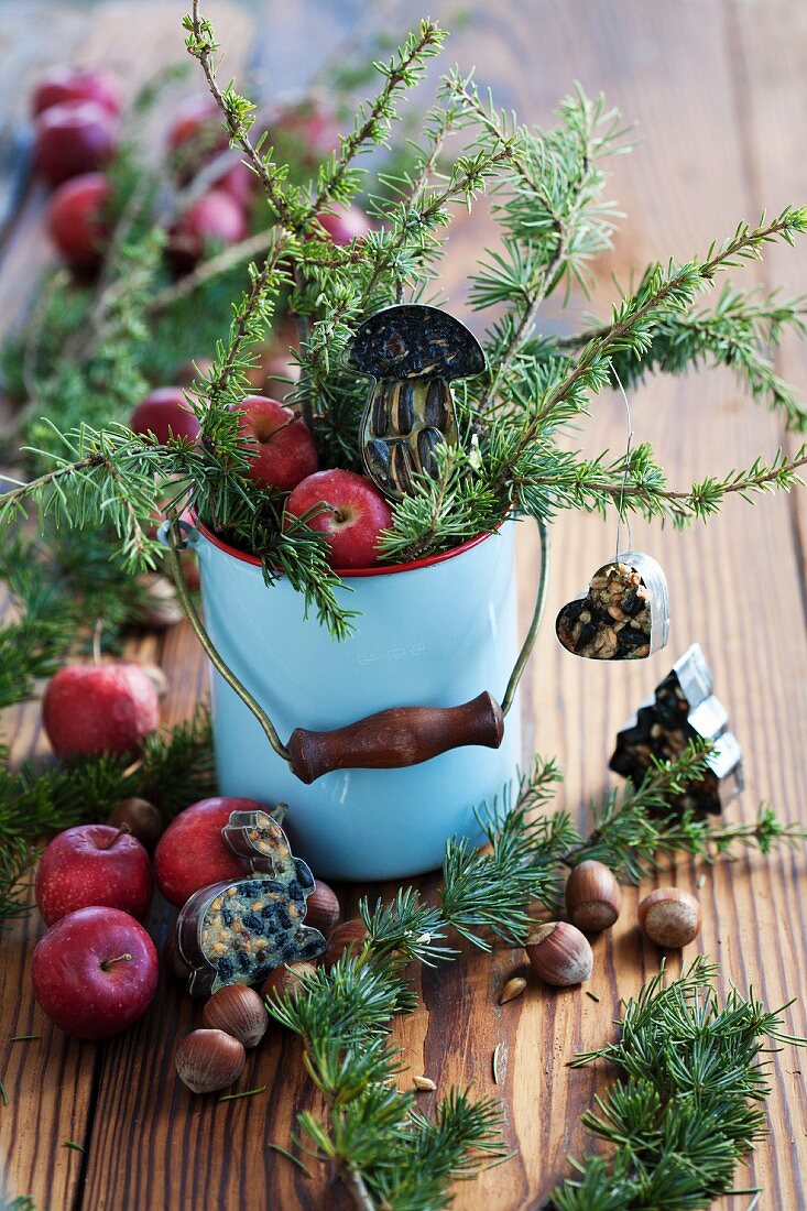 Enamel pot filled with larch twigs, apples & bird food