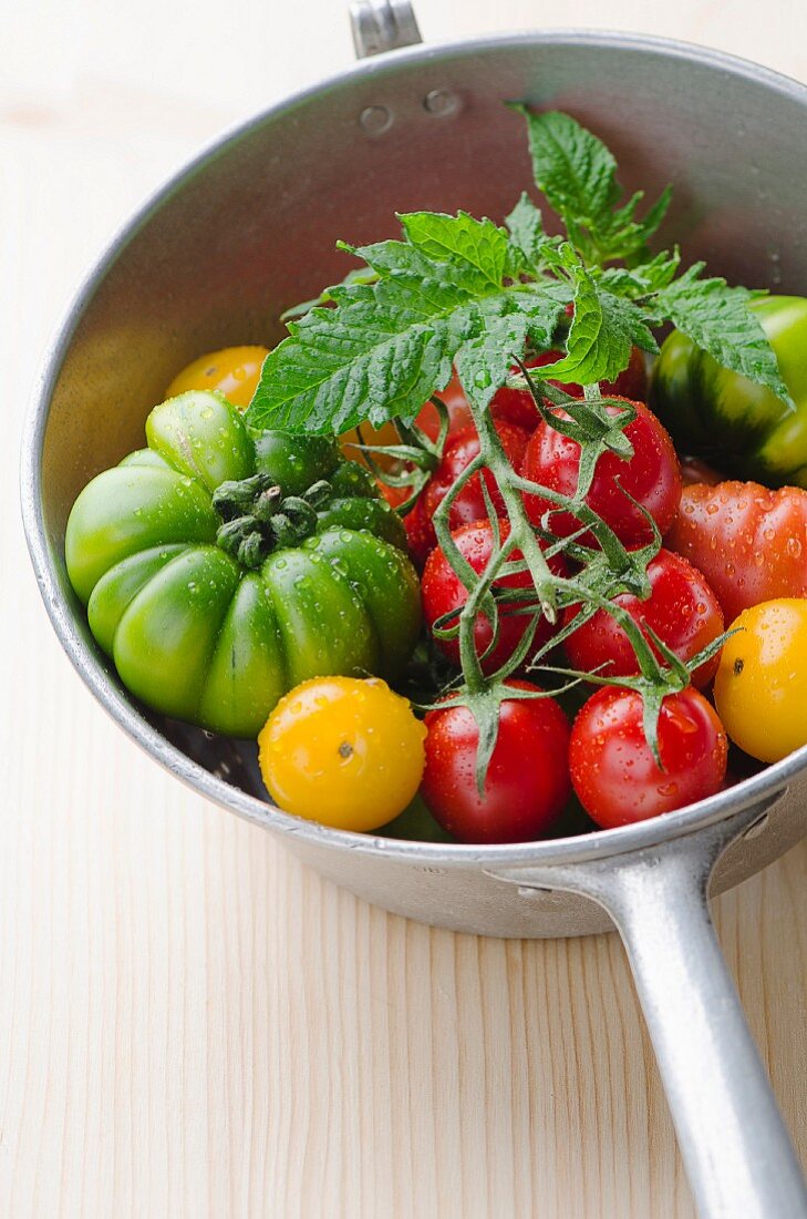 Verschiedene frische Tomaten im Topf