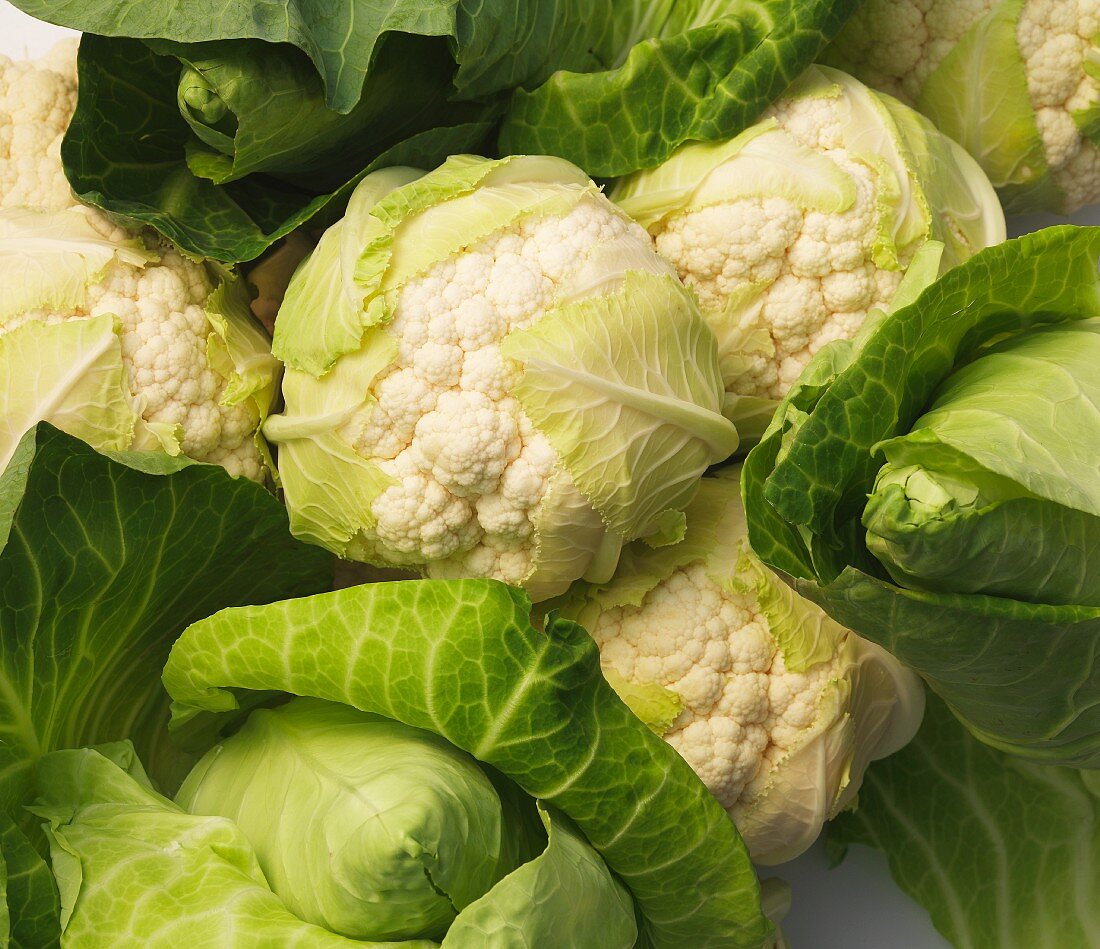 Cauliflower and pointed cabbage (seen from above)
