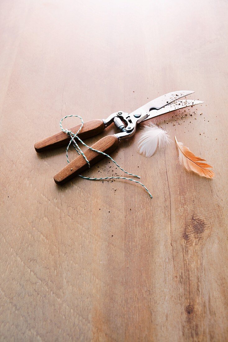 Poultry scissors with kitchen twine and feathers on a wooden surface