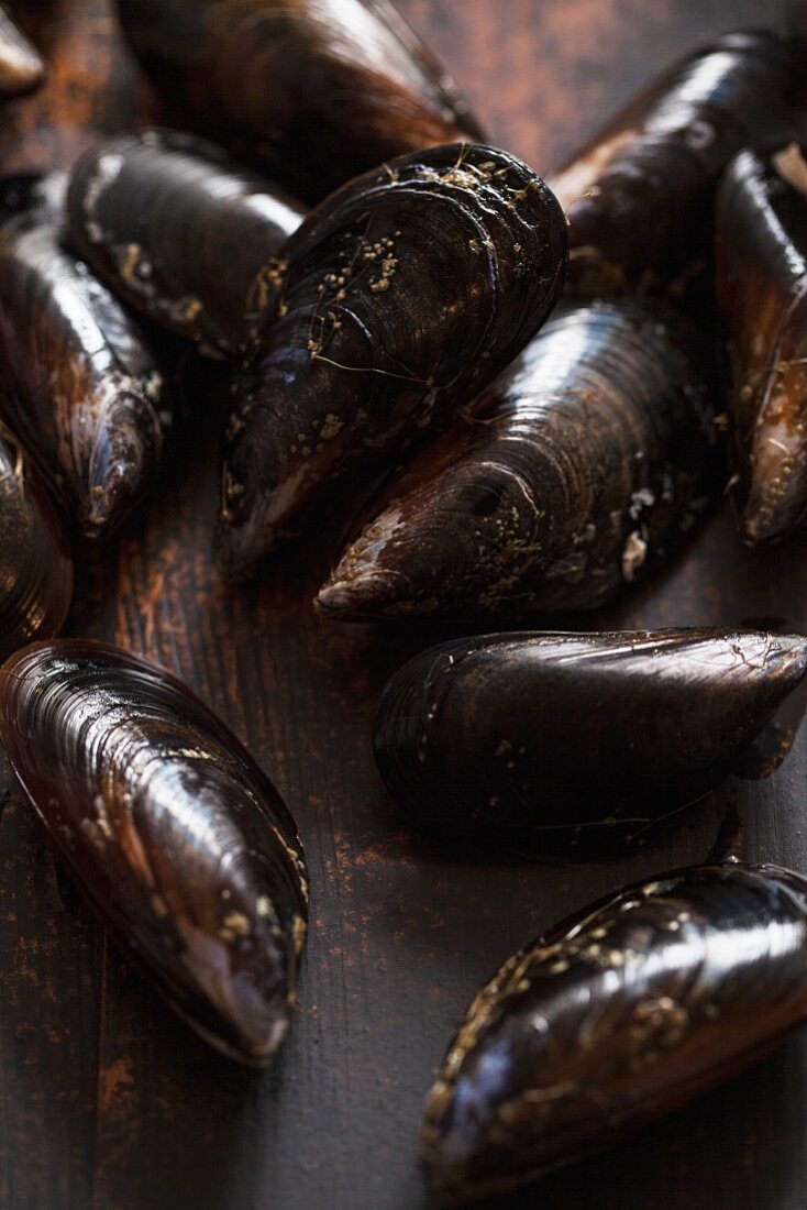 Fresh mussels on a wooden surface