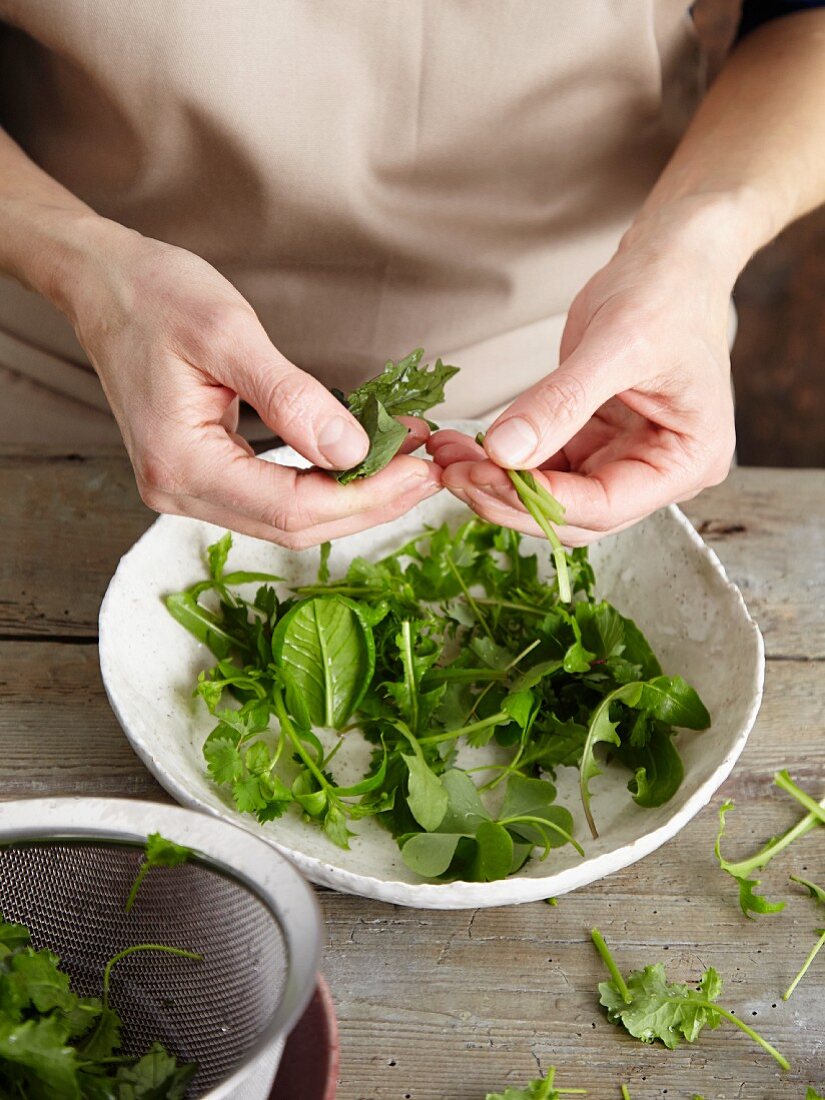 Wild herbs being cleaned