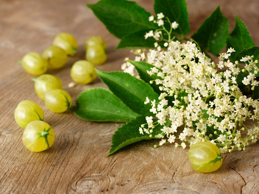 Holunderblüten und Stachelbeeren auf Holztisch