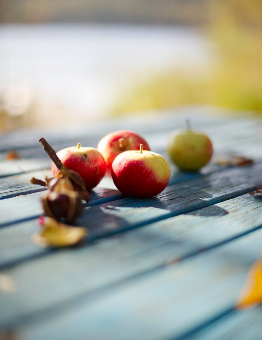 Mehrere Äpfel auf Holztisch im Garten