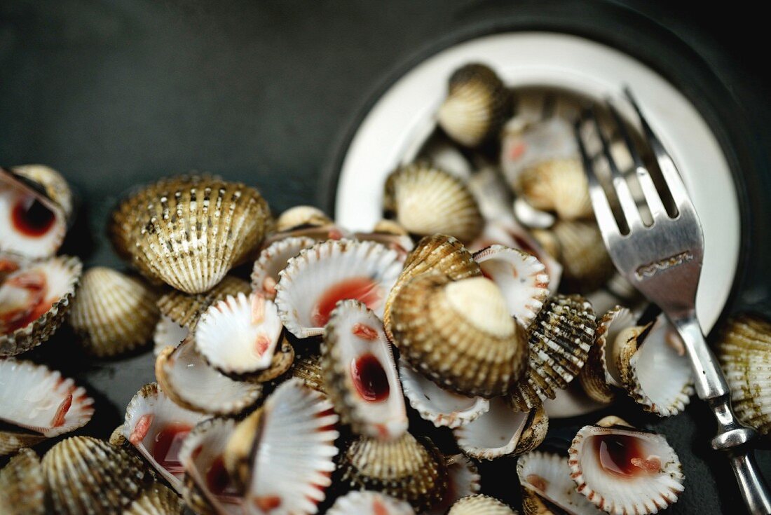 Fresh clams with a fork (seen from above)