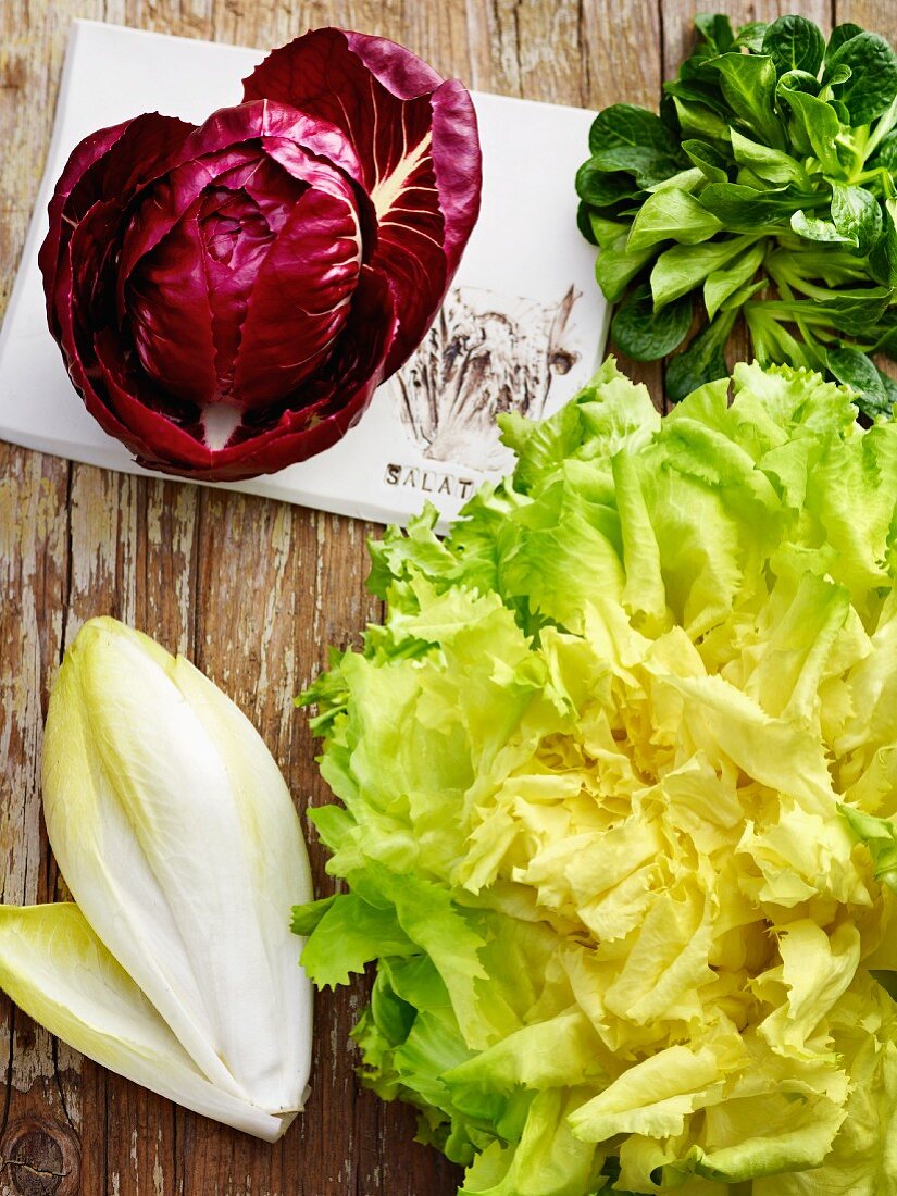 Winter lettuces: radicchio, lamb's lettuce, endive and chicory