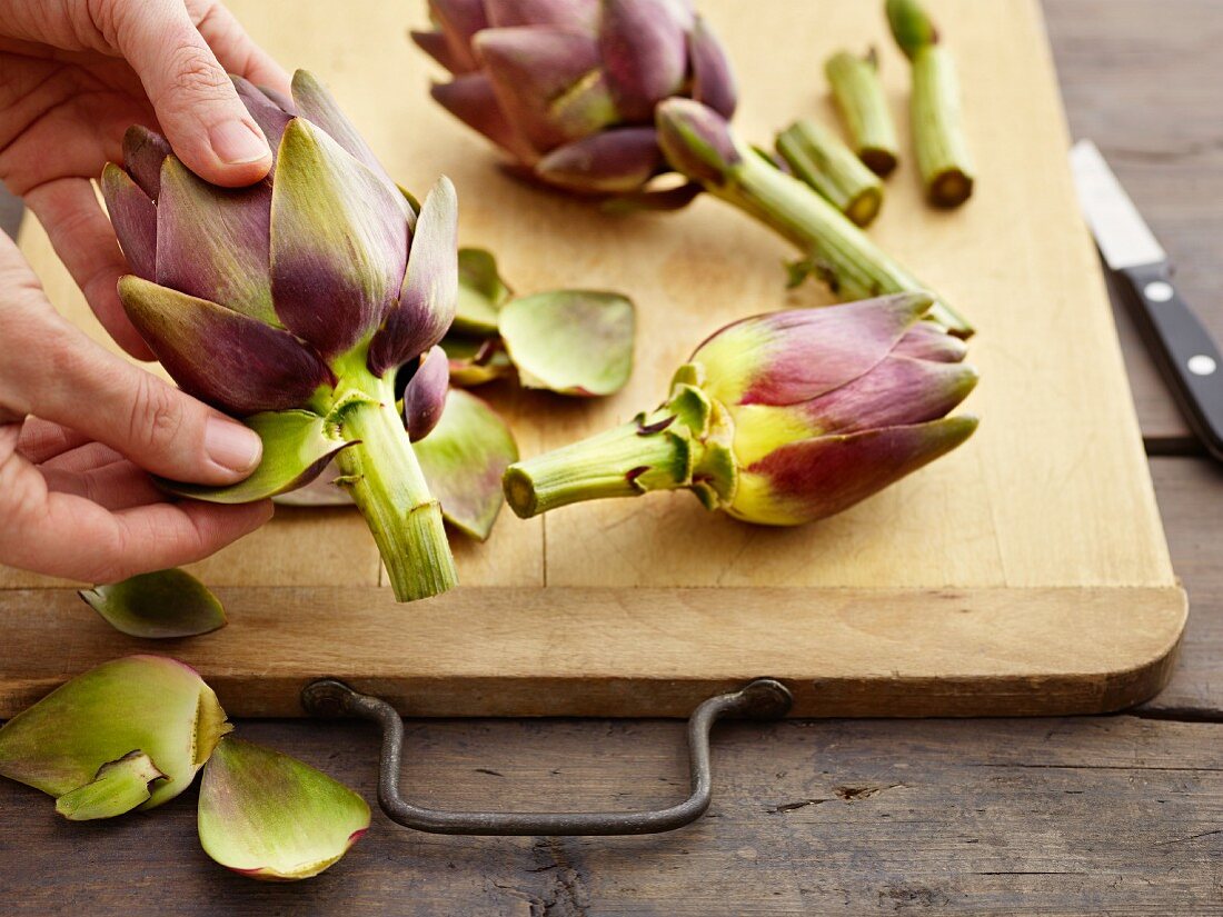 Artichokes being prepared: outer leaves being removed