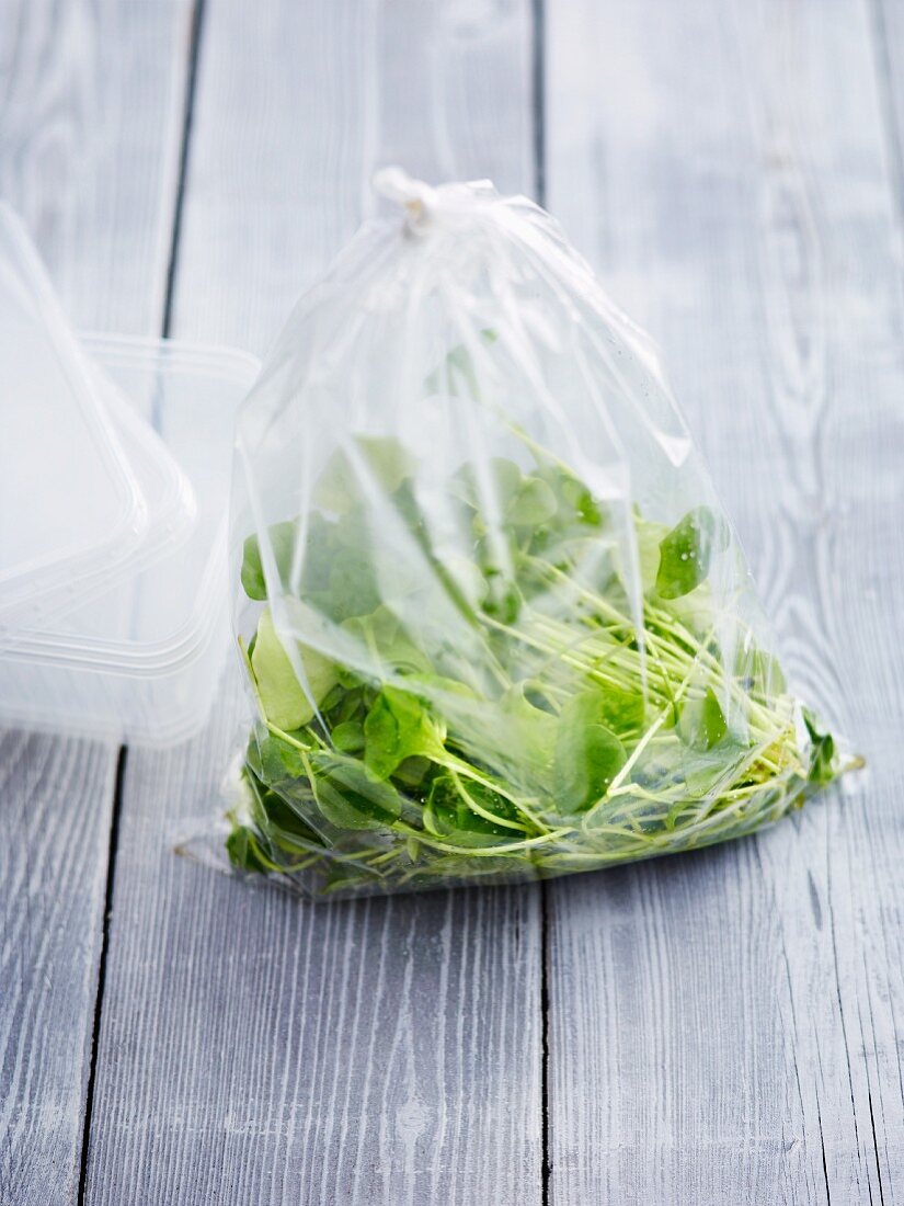 Purslane in a plastic bag