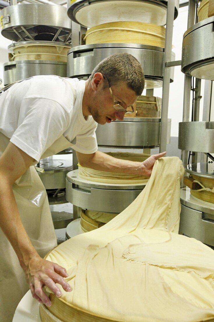 Arbeiter bei der Käseherstellung, Laib formen