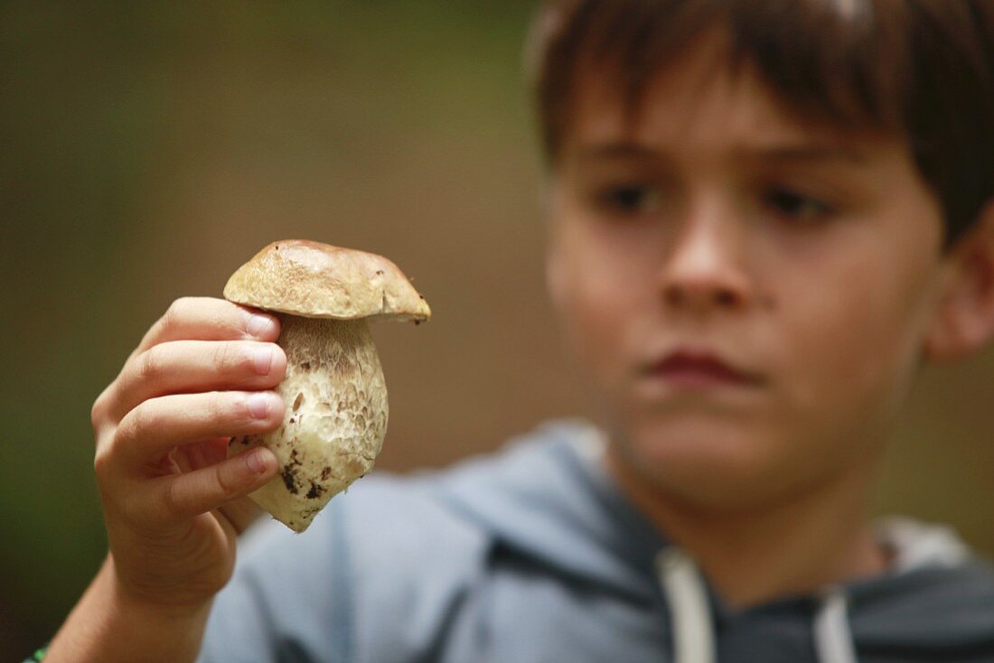 A boy holding a porcini mushroom