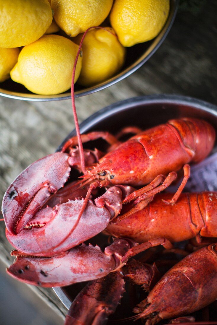 Cooked lobster with lemons