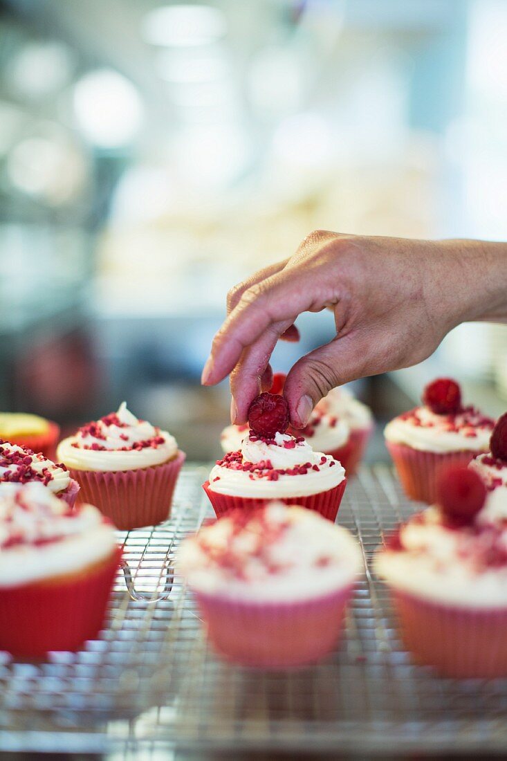 Red Velvet cupcakes being decorated with raspberries