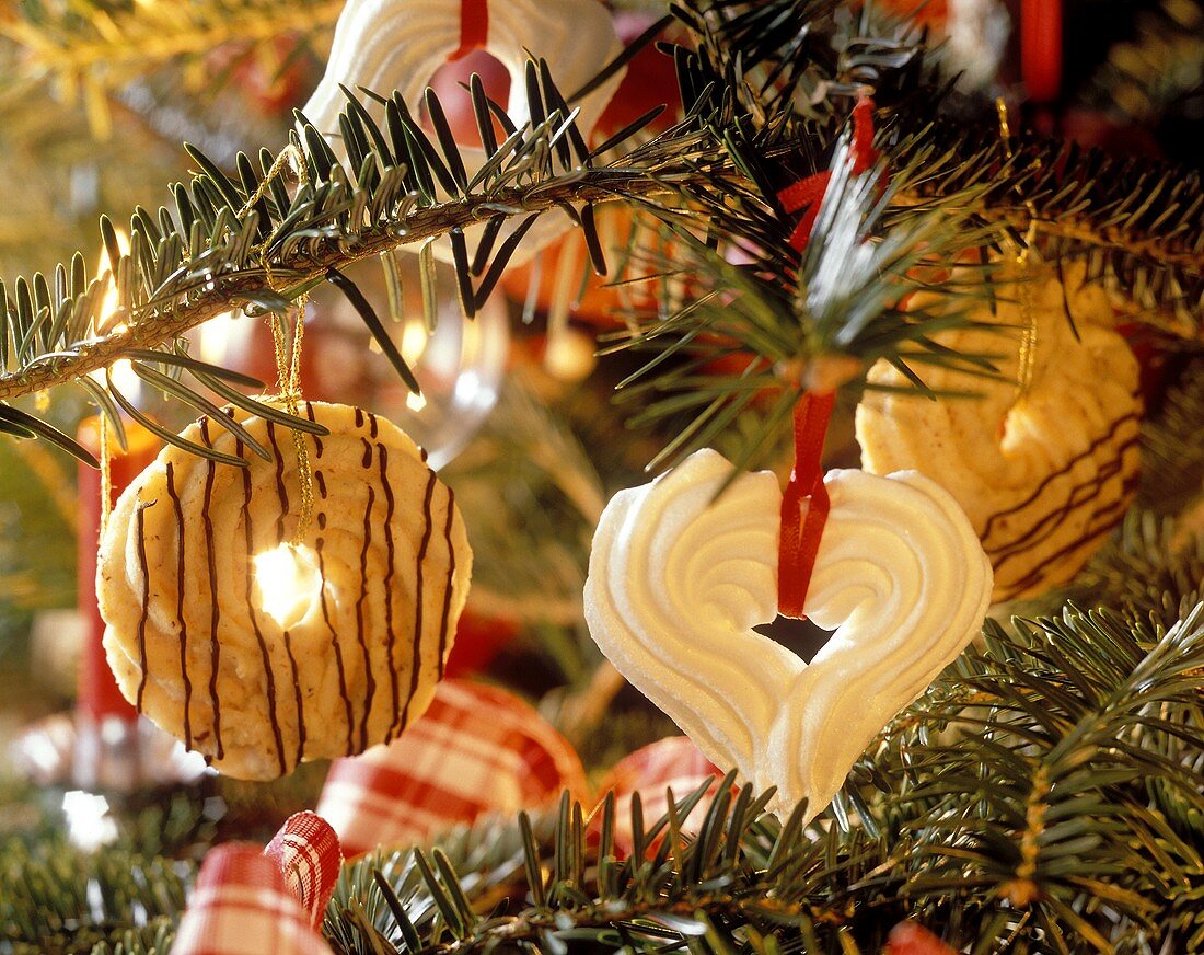 Cookie Christmas Ornaments Hanging From a Tree