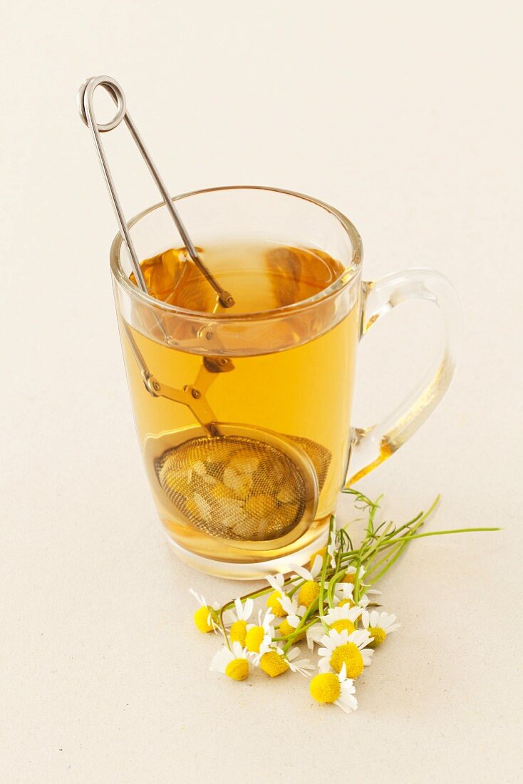 A glass of camomile tea and fresh camomile flowers