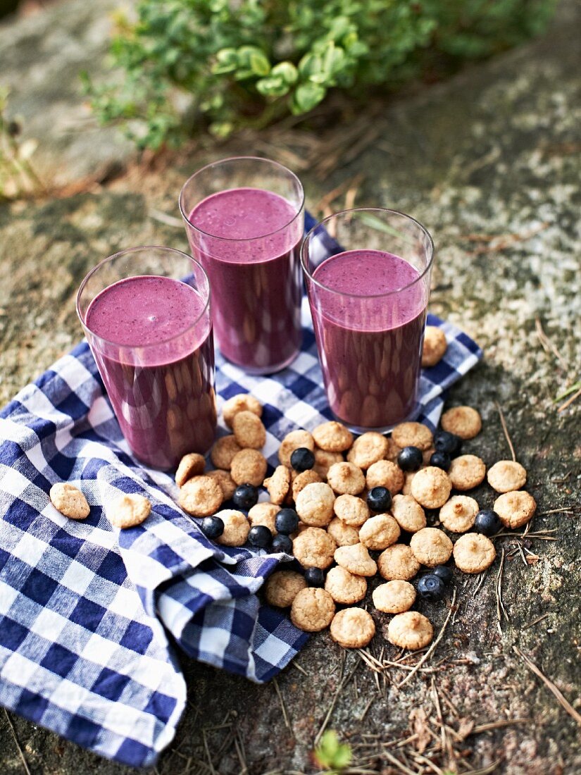 Drei Gläser Blaubeer-Smoothie mit Amaretti, Beeren und Geschirrtuch auf dem Waldboden