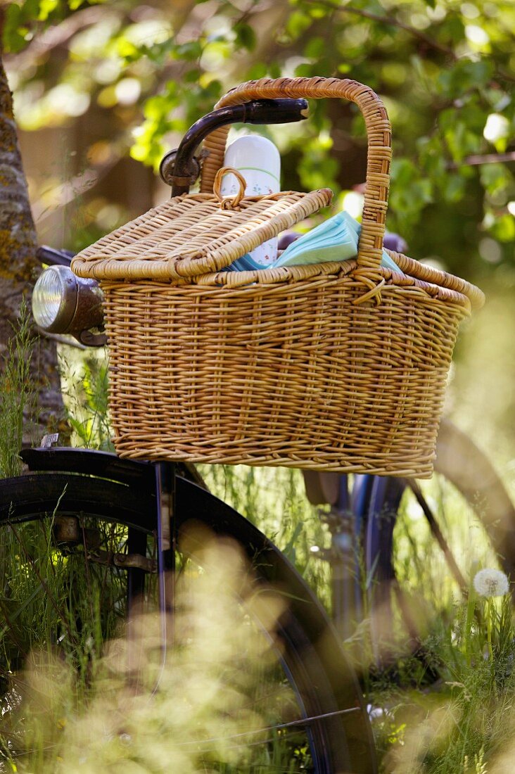 A bicycle with a picnic basket leaning against tree