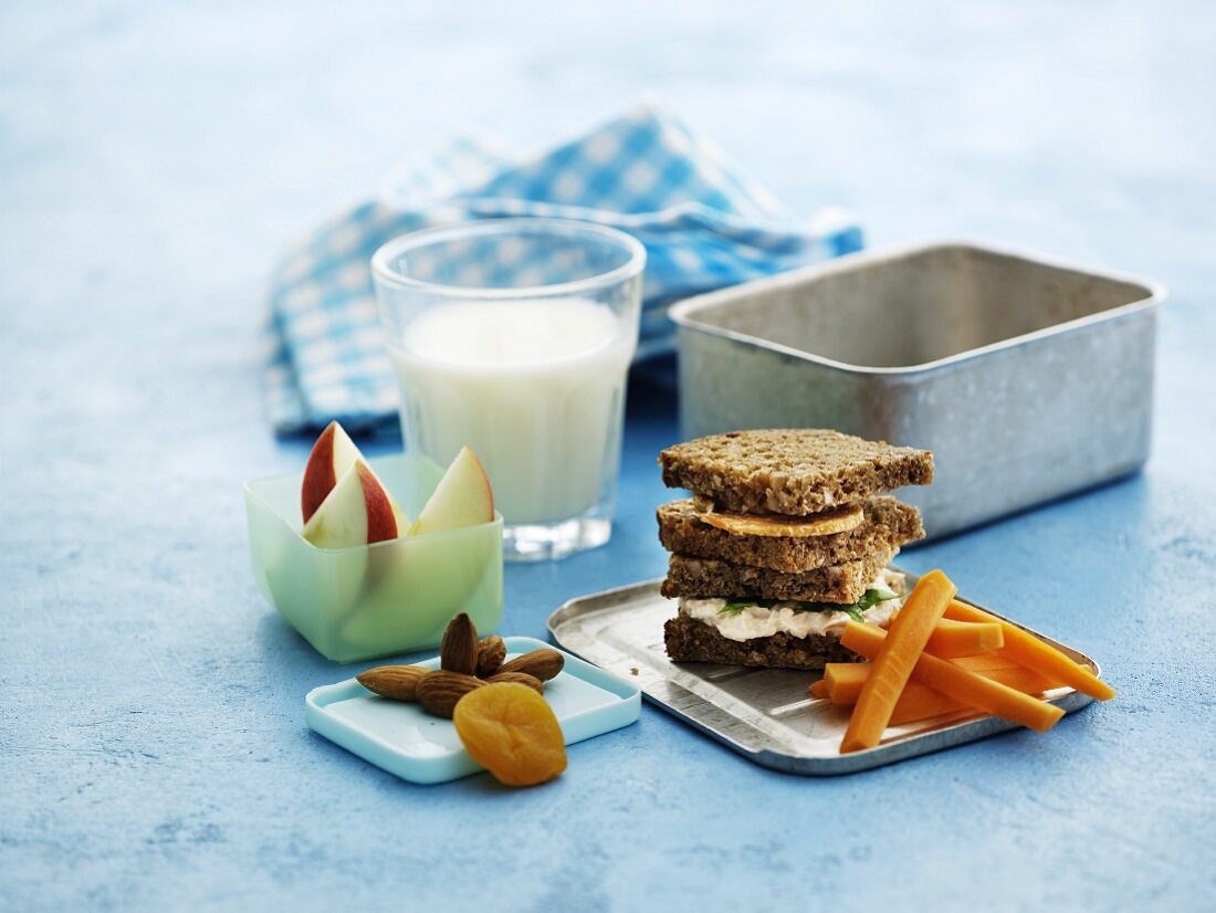 Lunchbox mit Vollkornbrot-Sandwiches, Möhren, Obst und Milch